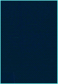Black Out